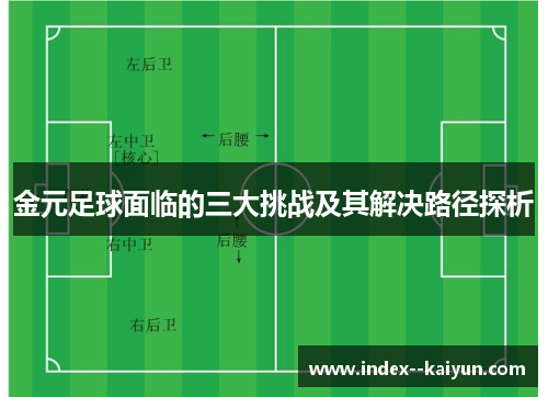 金元足球面临的三大挑战及其解决路径探析