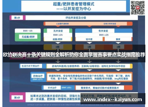 欧协联决赛十条关键规则全解析助你全面掌握赛事要点实战指南推荐 欧协联决赛十条关键规则全解析助你全面掌握赛事要点实战指南推荐