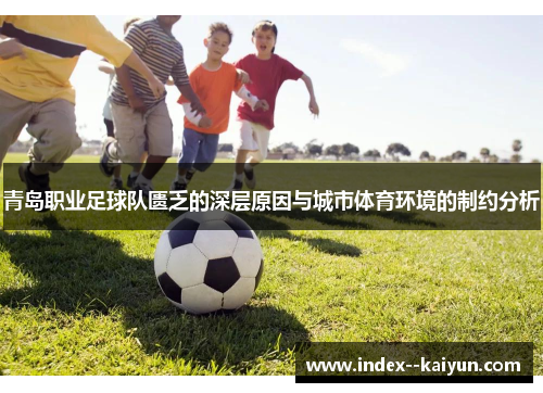 青岛职业足球队匮乏的深层原因与城市体育环境的制约分析 青岛职业足球队匮乏的深层原因与城市体育环境的制约分析