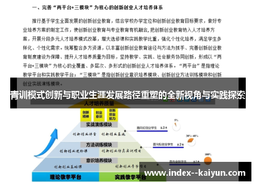 青训模式创新与职业生涯发展路径重塑的全新视角与实践探索 青训模式创新与职业生涯发展路径重塑的全新视角与实践探索