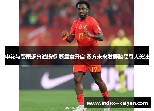 申花与费南多分道扬镳 新篇章开启 双方未来发展路径引人关注