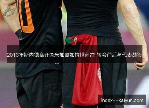 2013年斯内德离开国米加盟加拉塔萨雷 转会前后与代表战役
